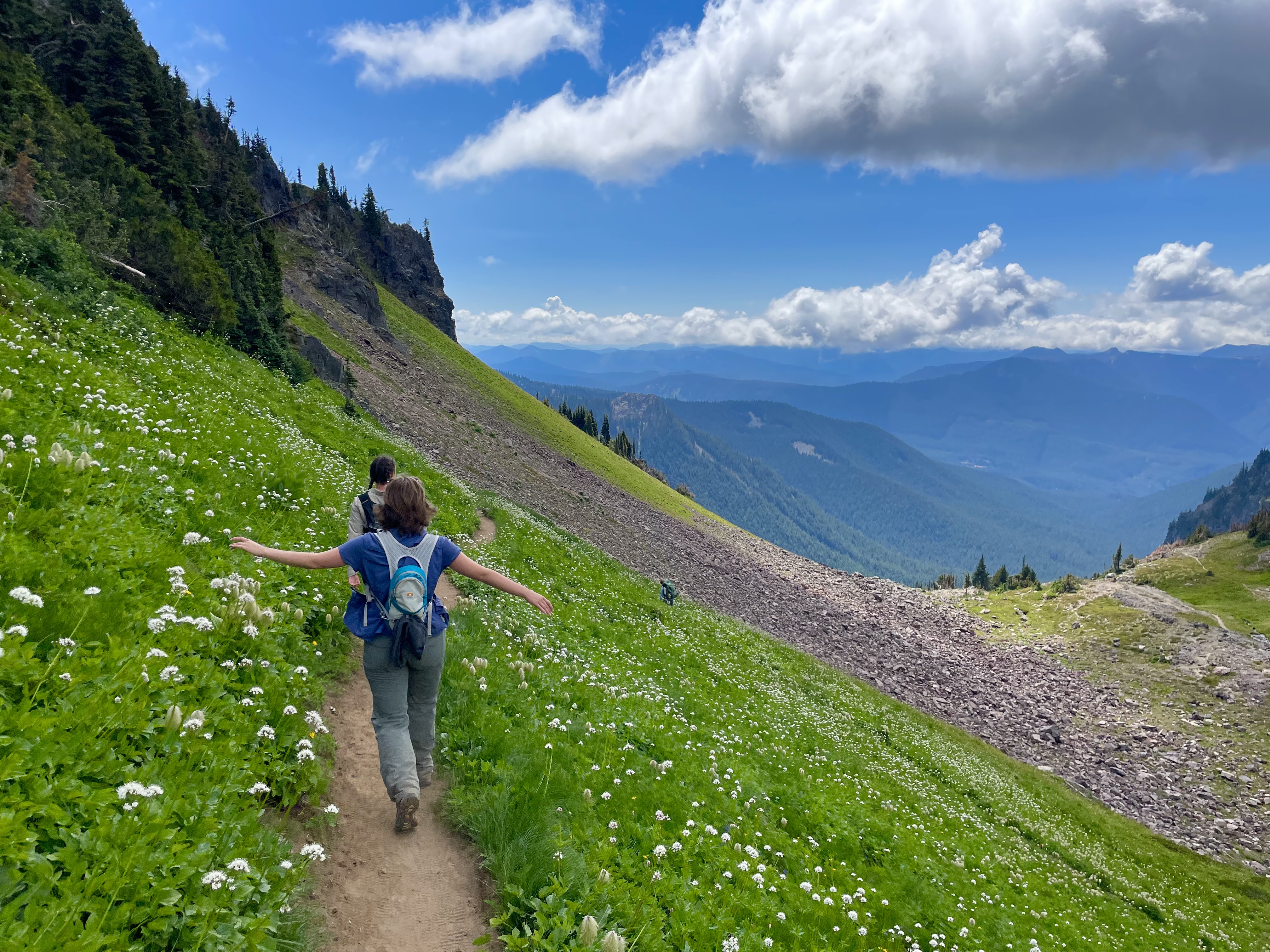 Hiker holds arms out while walking on a trail through wildflowers on the side of a green valley