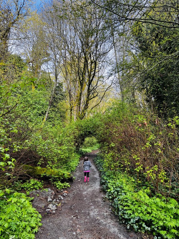 A child walks on a trail beset on each side by lush foliage.