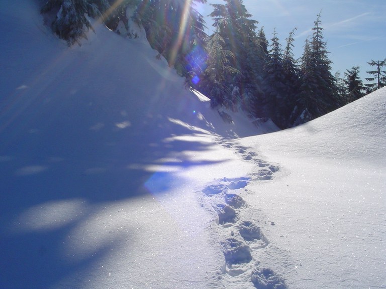 footprints in the snow. 