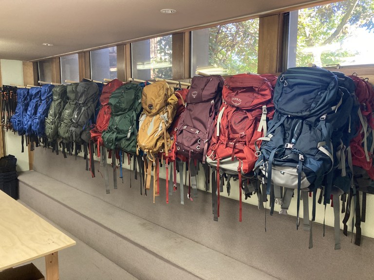 Backpacks are hung-up against the wall in a long row. They are organized by color in a pleasing fashion.