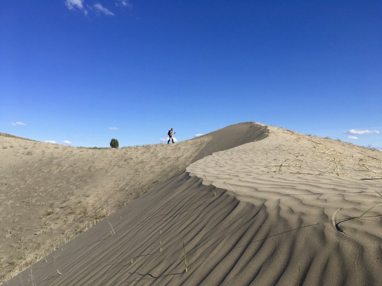 Use trip reports to read beta on less visited regions of Washington, like Juniper Dunes Wilderness. Photo from WTA archives. A hiker walks along sand dunes.