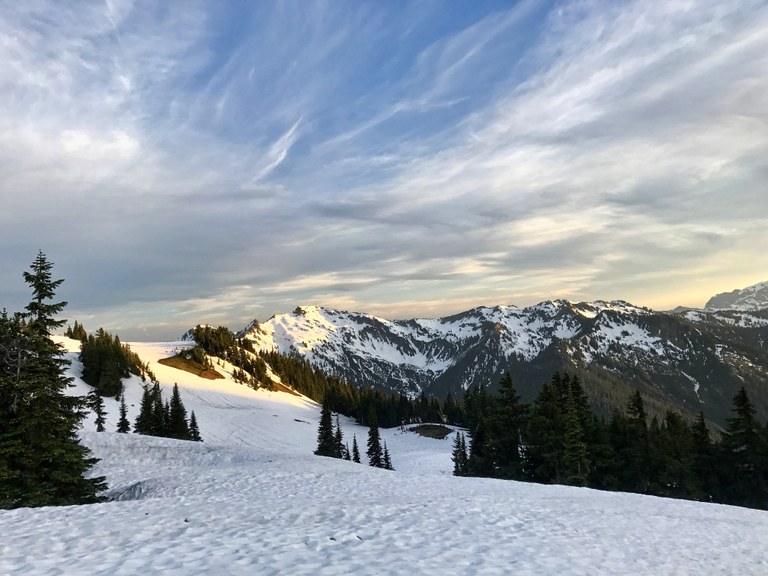 Diekema_White Pass.jpg