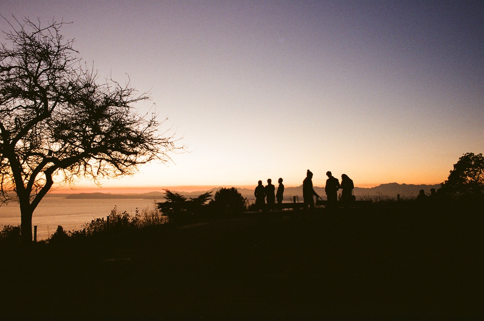 Film photography. Photo by Christina Hickman (1).JPG