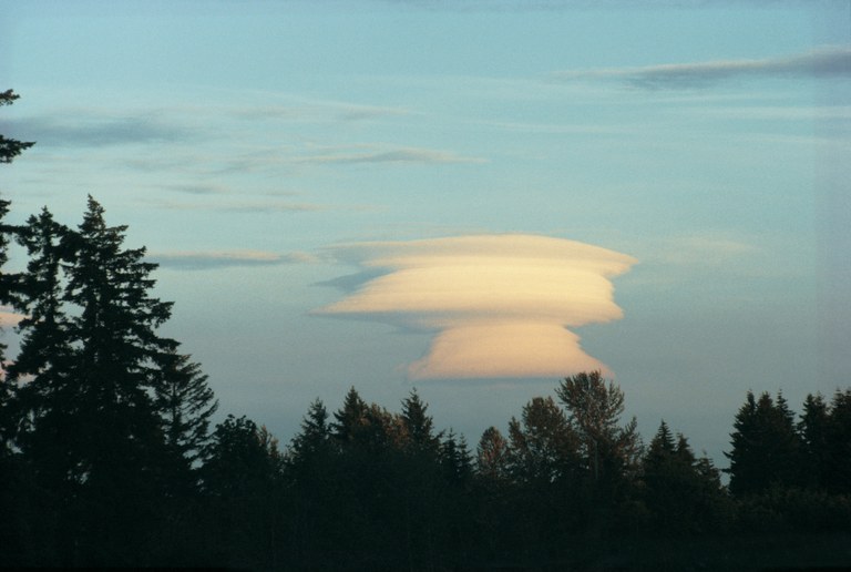 Lenticular.jpg