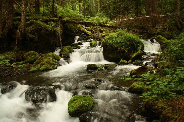 Marmot Pass by Beck Luchansky.jpg