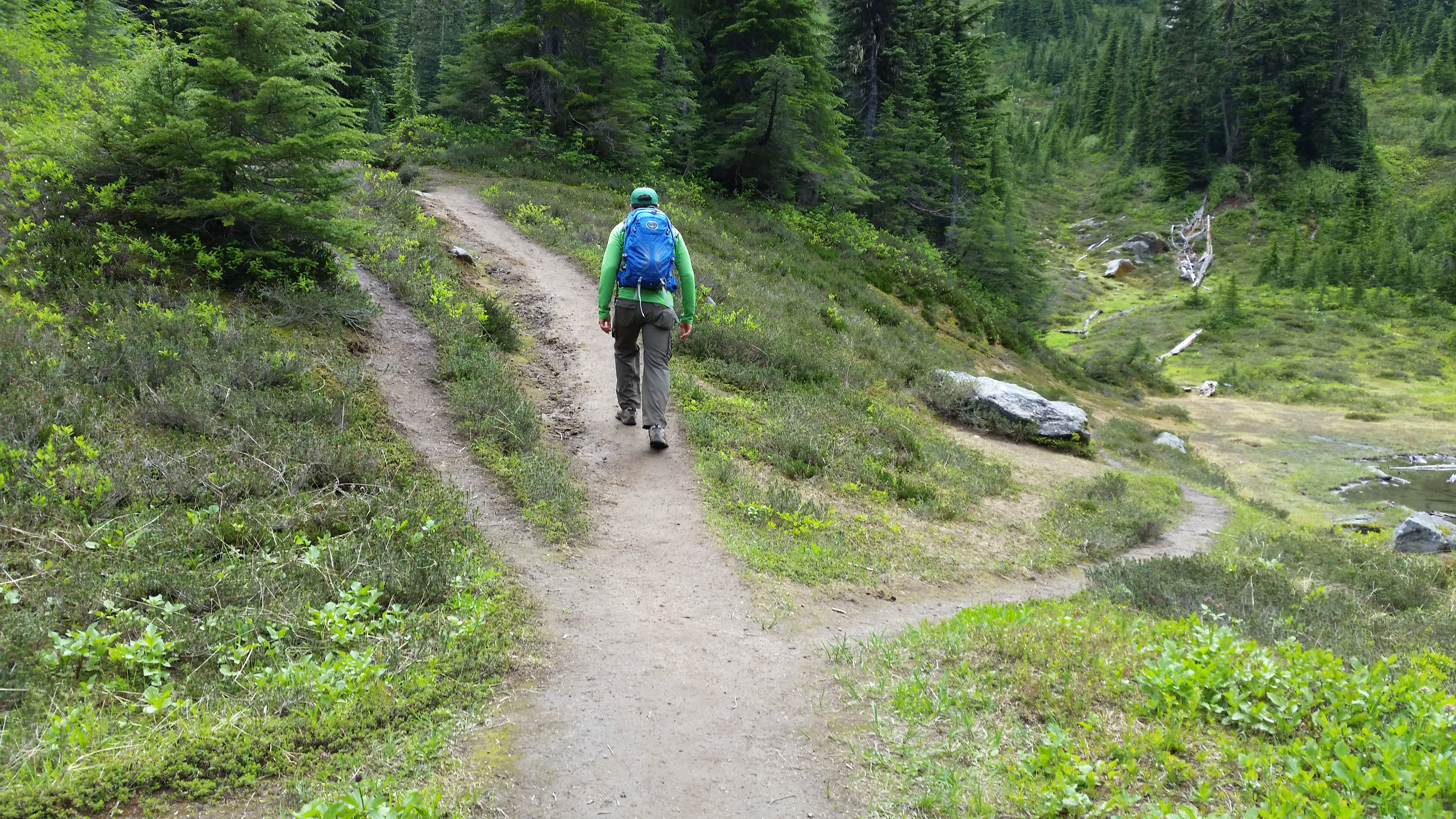 Hiker walks on a wide path that has two narrow paths branching off on either side of the main trail