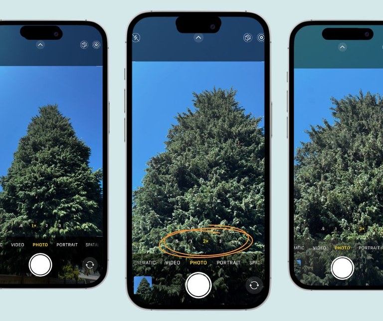 Three pictures of a tree inside of an iphone frame. Each features a different lens feature highlighting the zoom in capabilities on a cedar tree with blue skies in the background. 