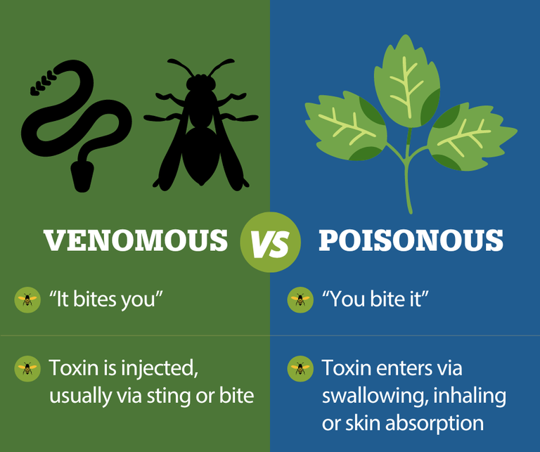 A graphic explaining the difference between poisonous and venomous plants and animals.