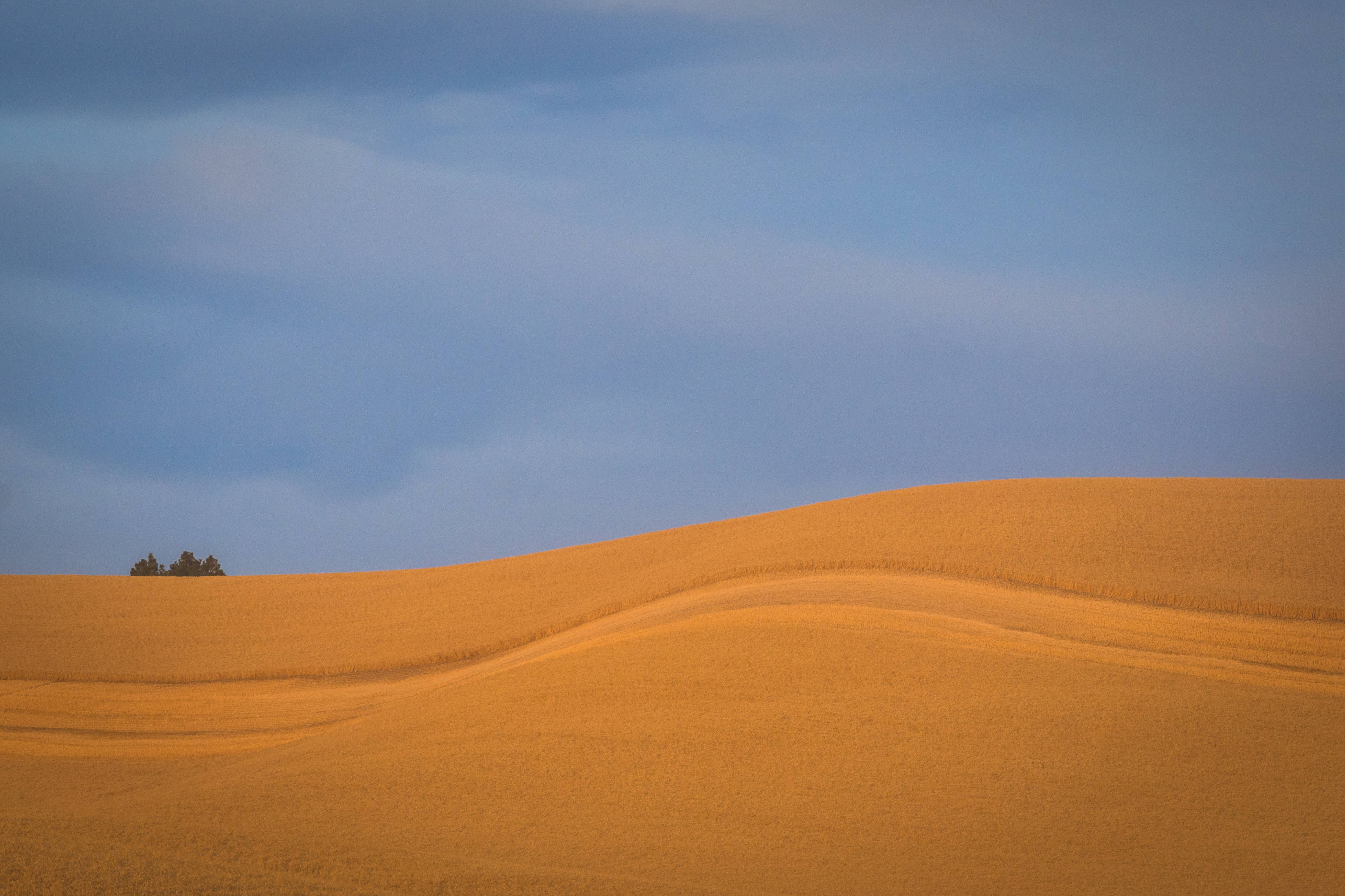 Rolling hills Rolling golden hills in Eastern Washington.