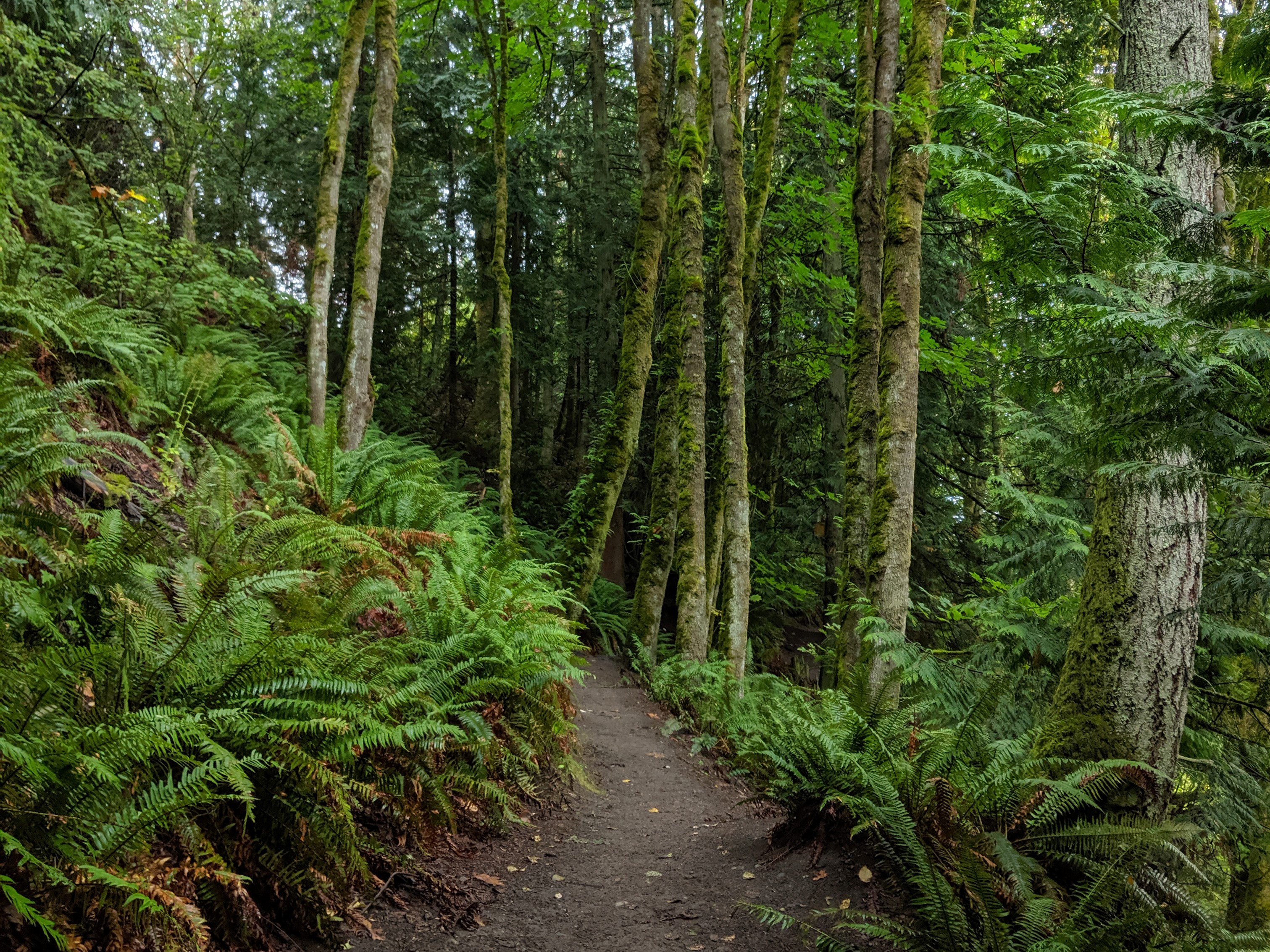 Camera Bag Trail. Photo by Erika Haugen-Goodman.jpg