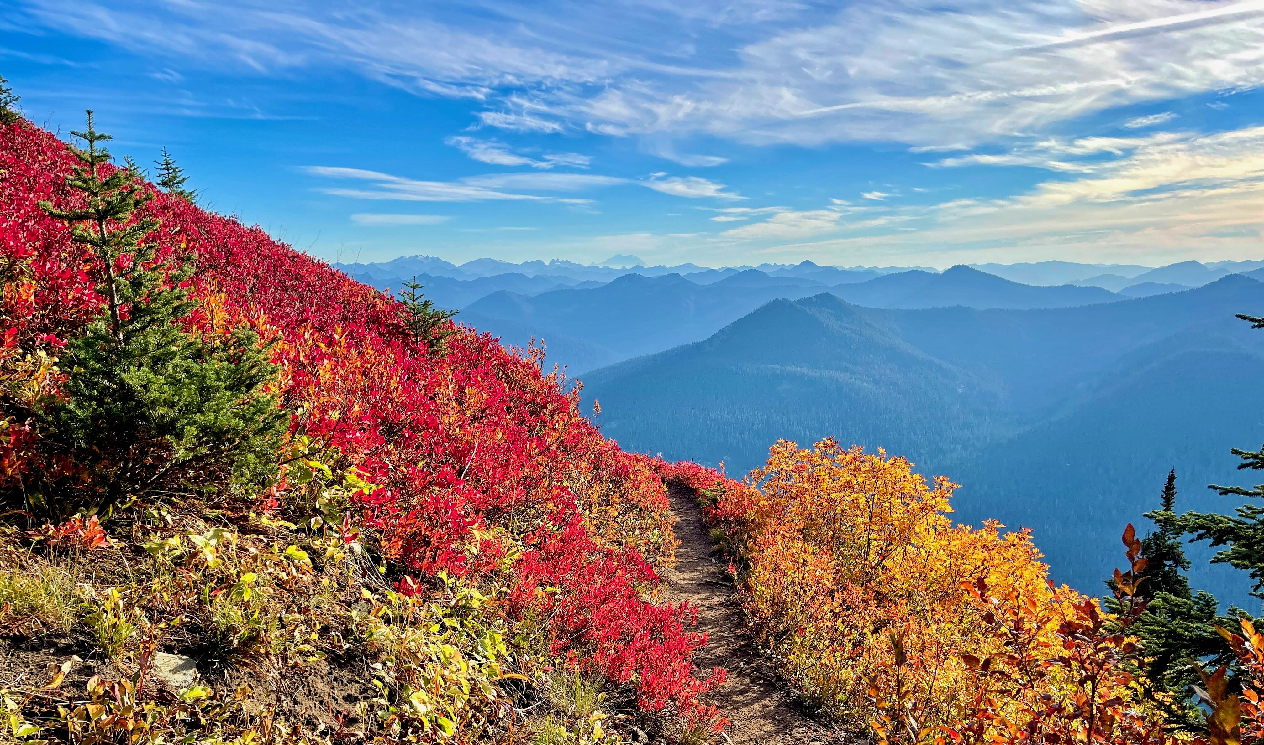 Poe Mountain Fall colors burst along the sides of a dirt trail. The trail overlooks a a deep valley of evergreen, with rows of peaks raising above in the background.