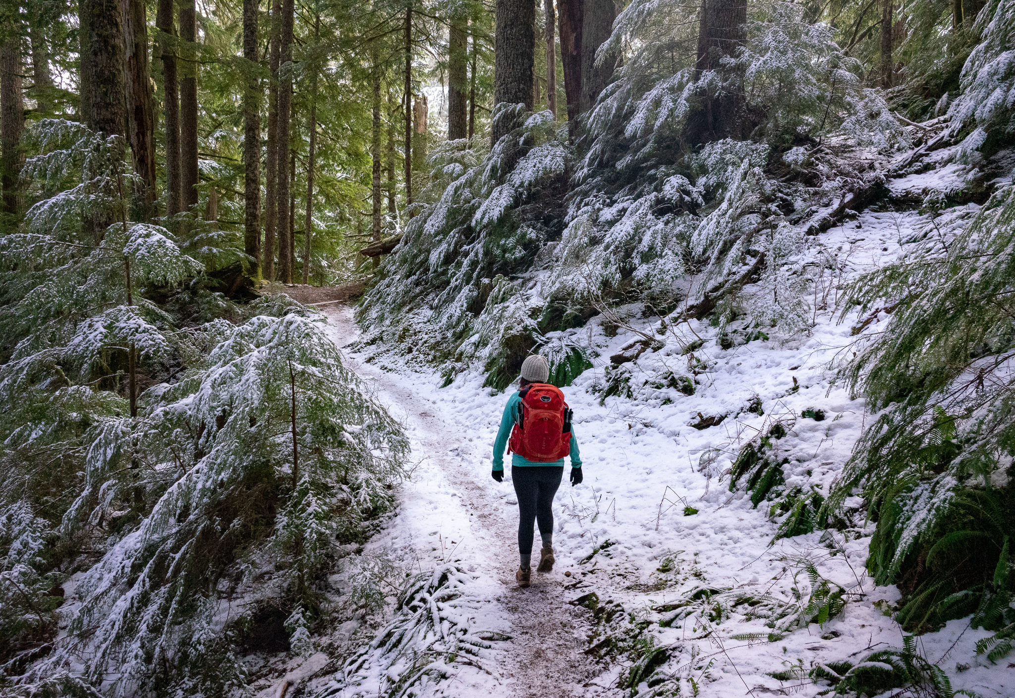 Hiking through fresh snow at Mount Rainier