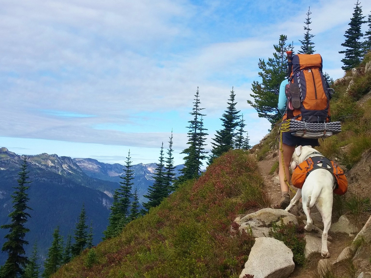 A hiker with a backpacking pack heads up a ridge with their dog on leash behind them.
