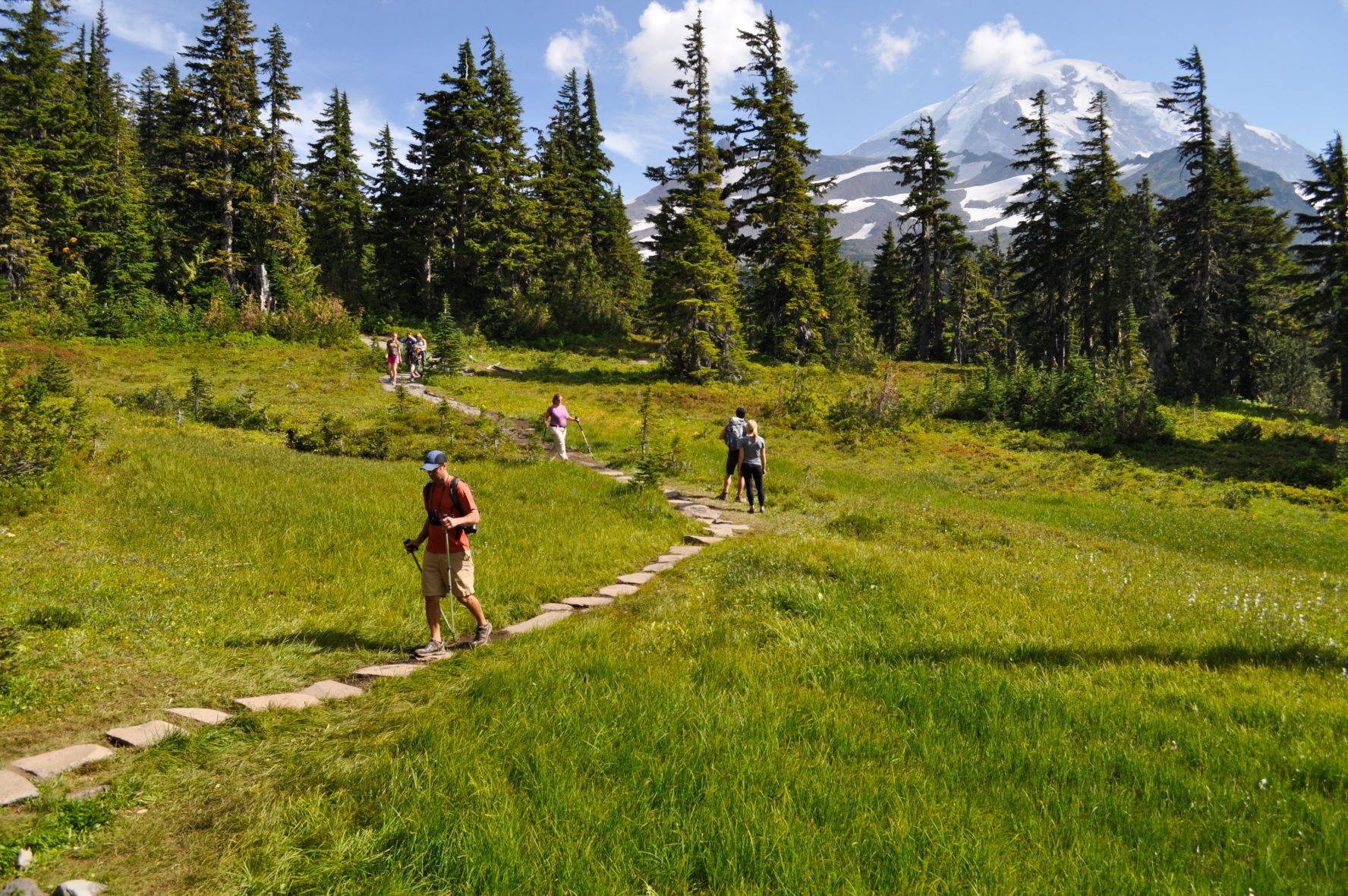 A few groups of hikers pass each other on a busy trail through the meadows of Spray Park.