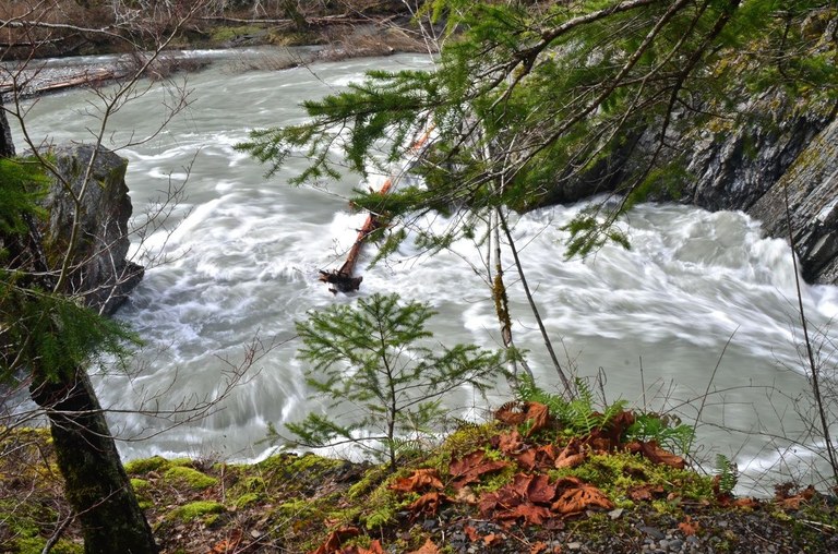 Goblins Gate with rushing water Water rushes through the tight Goblins Gate section of the Elwha River in Geyser Valley