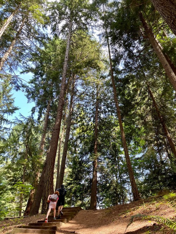 Kids climb the stairs at Hamlin Park. Photo by Kate Spiller. 
