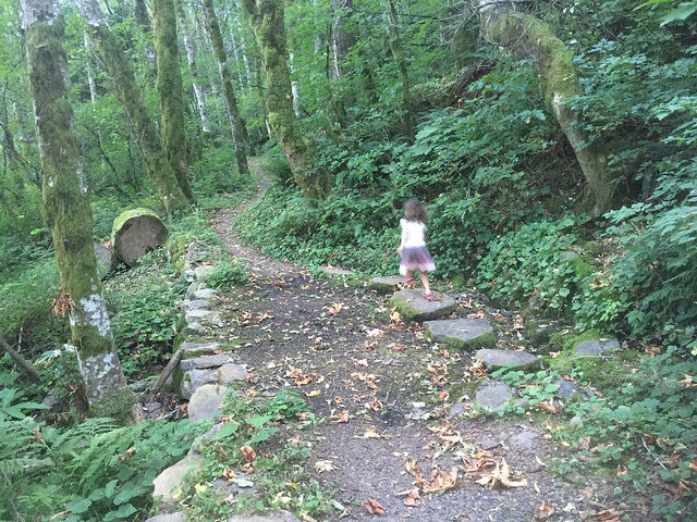 Lola along the Hardy Ridge Trail