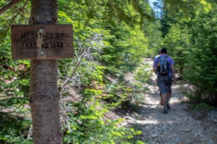 A hiker walks down a trail.