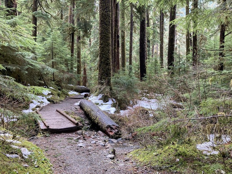 kbd05c sol duc falls.jpeg