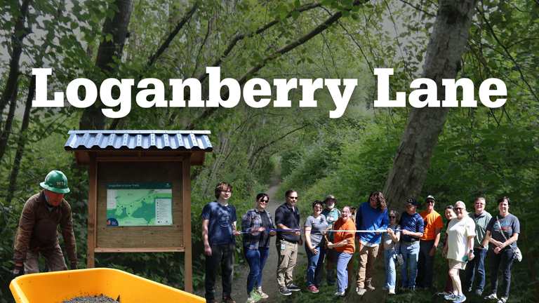 Loganberry Lane (1).png