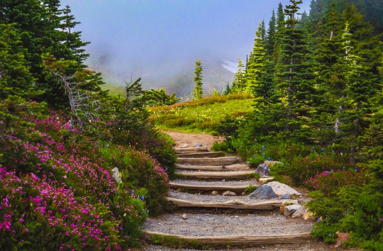 Mount Rainier stairs. Photo by Courtney Owens.