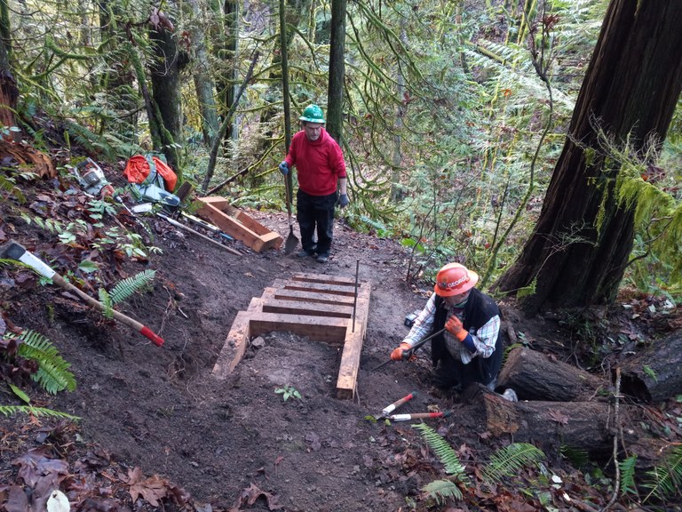 volunteers working on steps in forest