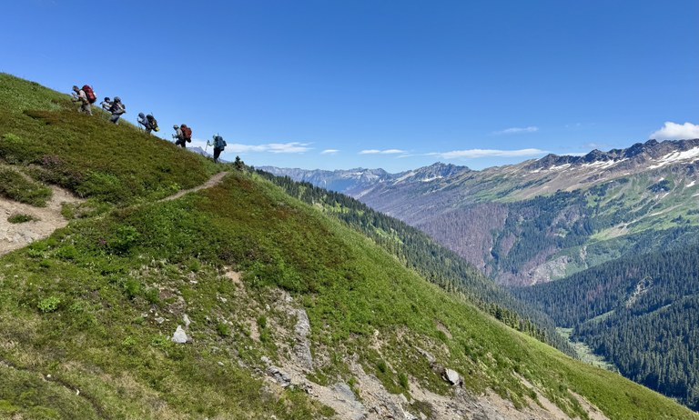 Hikers walk up a trail on hillside with forest peaks beyond.