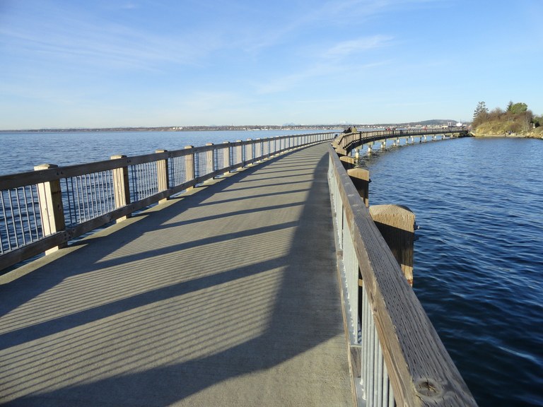 The South Bay Trail boardwalk extends over water.