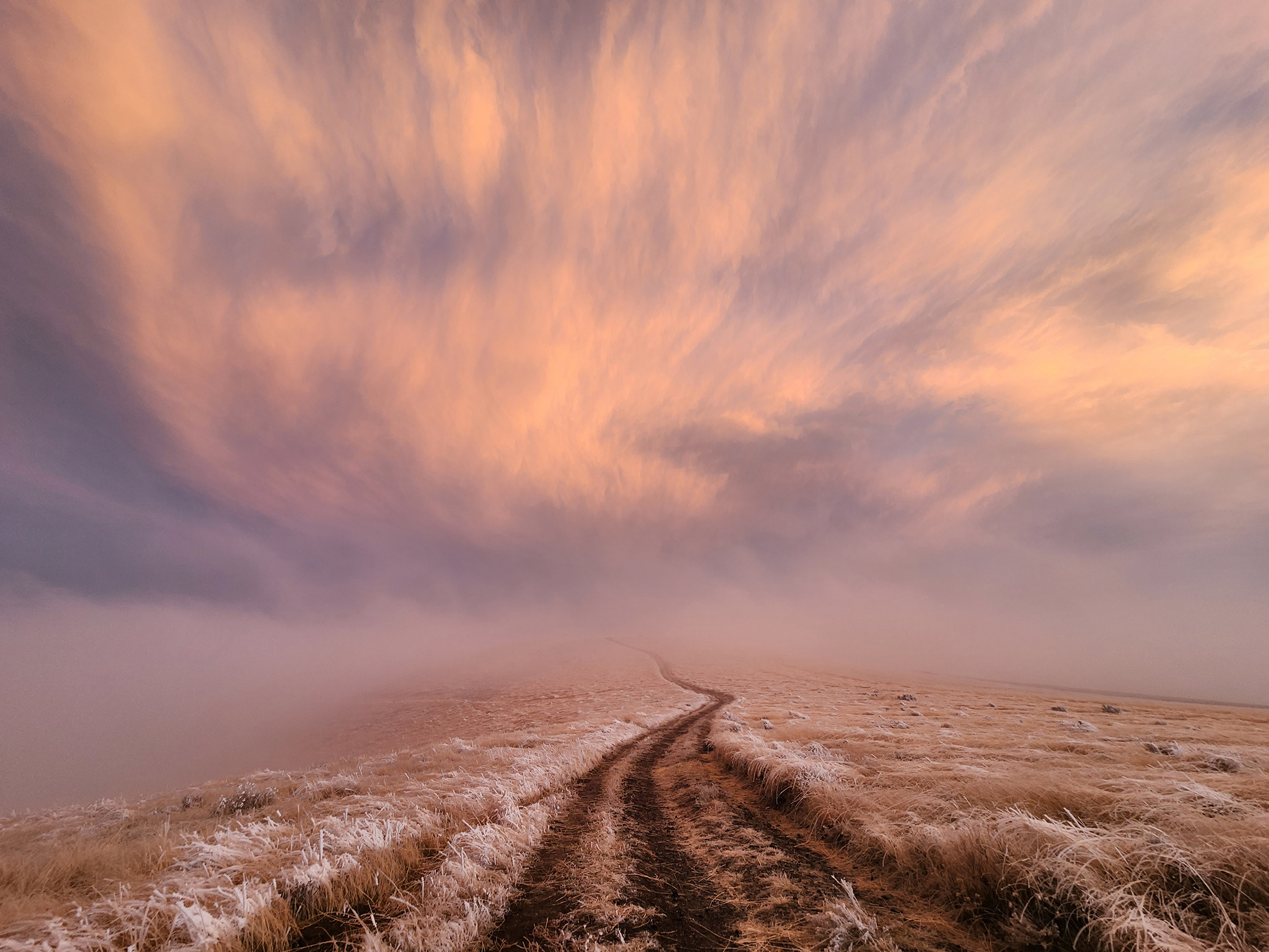 A trail leads to the horizon, amid frost desert vegetation, with a dreamy sunset in the background. 