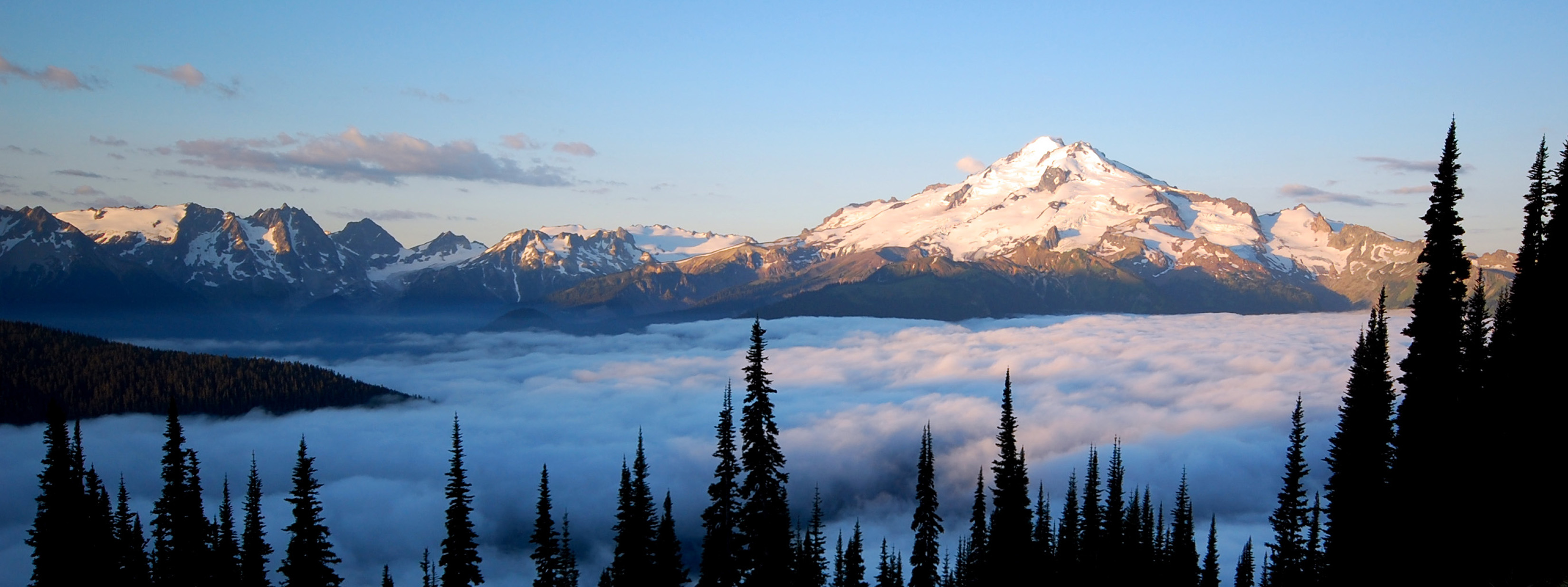 Dark outlines of evergreen trees contrast with white clouds that cover a valley below snowy peaks