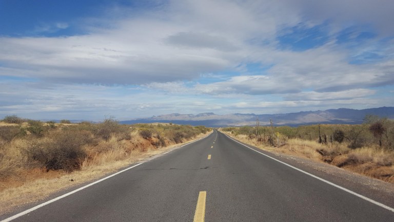A road in the Sonoran Desert.