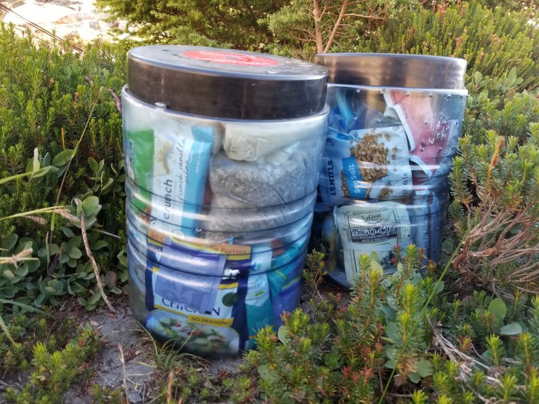 Two bear cannisters sit in subalpine brush.