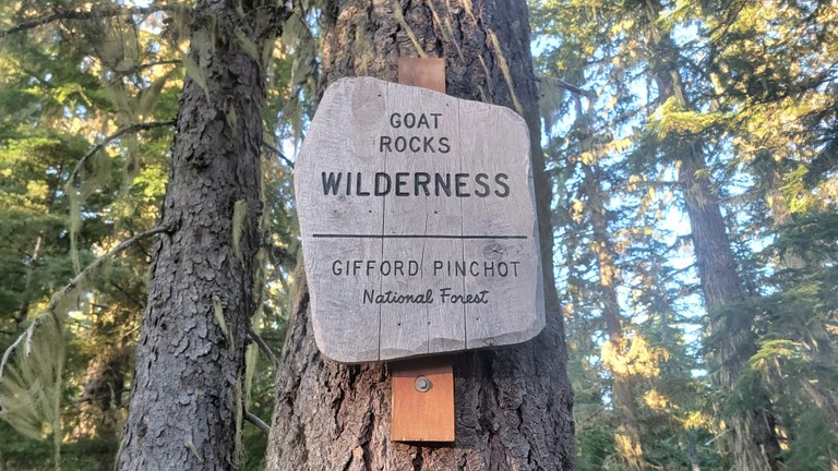 A wilderness sign for the Goat Rocks Wilderness.