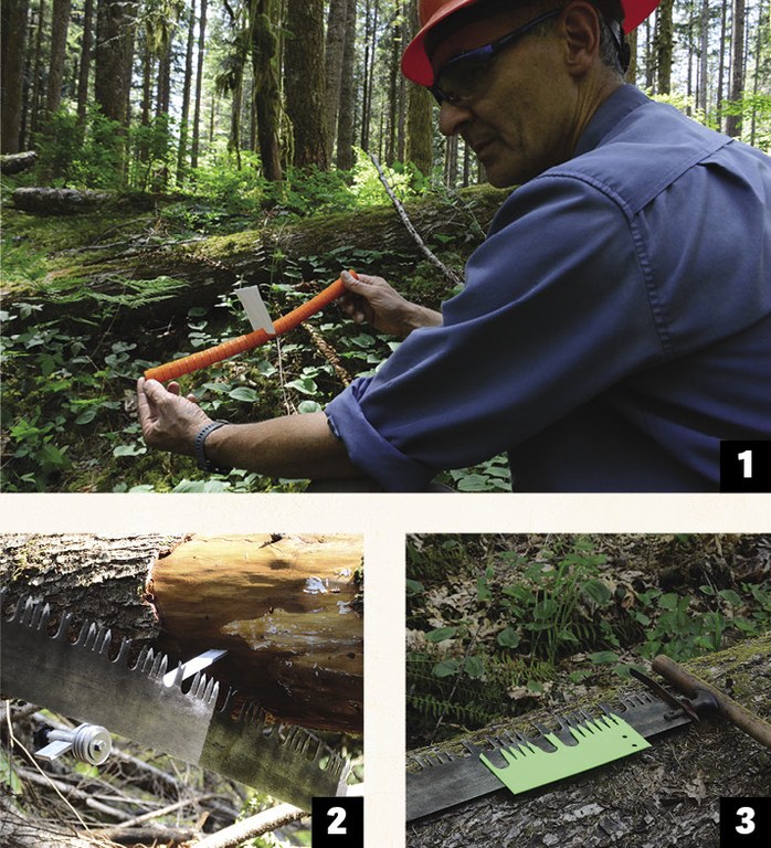 3 photos show trails tools: an orange flexible tube for teaching about bind; a tool for sawing from under a tree and a green tool to each about saw blades.