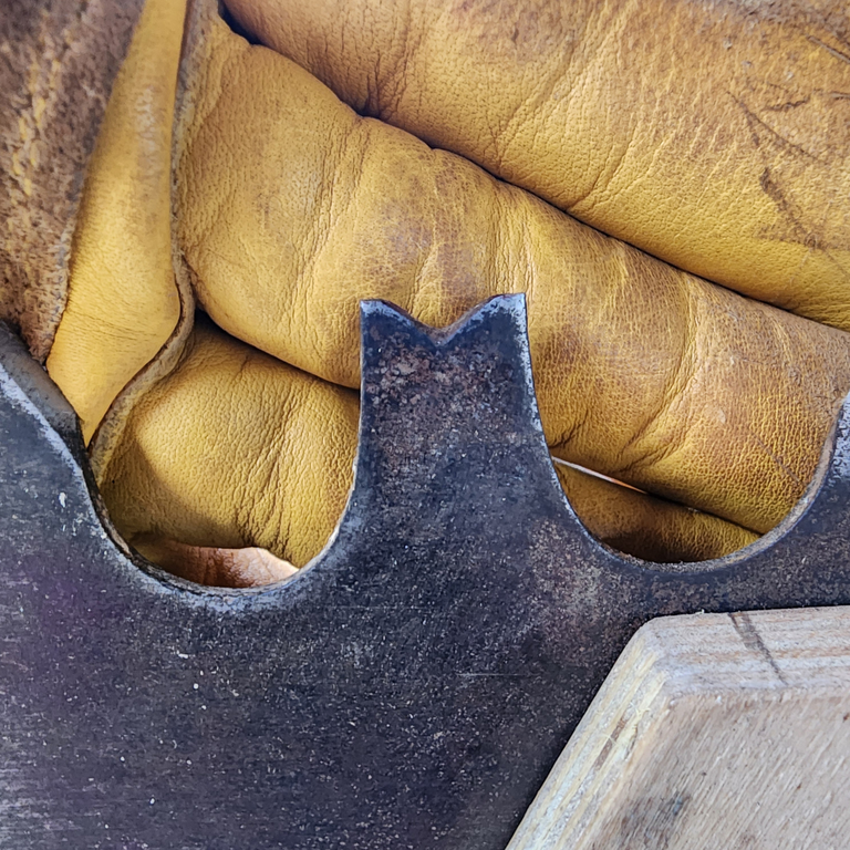 An up-close shot of saw teeth.