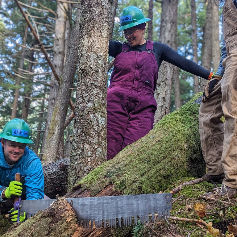 To earn the rank of A level sawyer, Crystal did extensive training — both in planning the cuts and in wielding the saw. Photo by Zachary Toliver Crystal watches a green hat saw through a log.