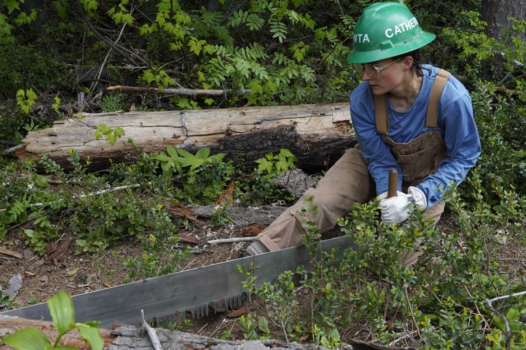 Crosscuts are critical for maintaining trails in wilderness areas. Photo by Joe Hall A sawyer cuts a log with a crosscut.