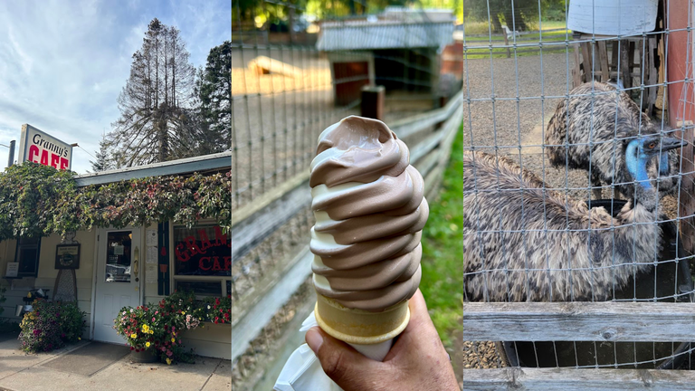 A collage of three images: the storefront of Granny's Cafe, two emus in an enclosure and a giant soft served ice cream cone.