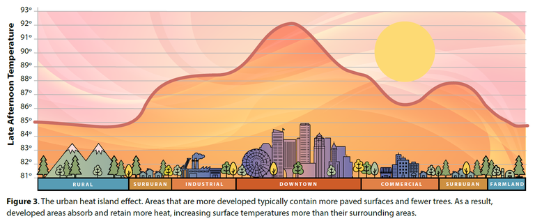 Figure three from the King County Extreme Heat Mitigation Plan shows how areas with more trees and green space have lower late afternoon temperatures, whereas urban heat islands retain heat later into the day. An infographic of heat and King County.