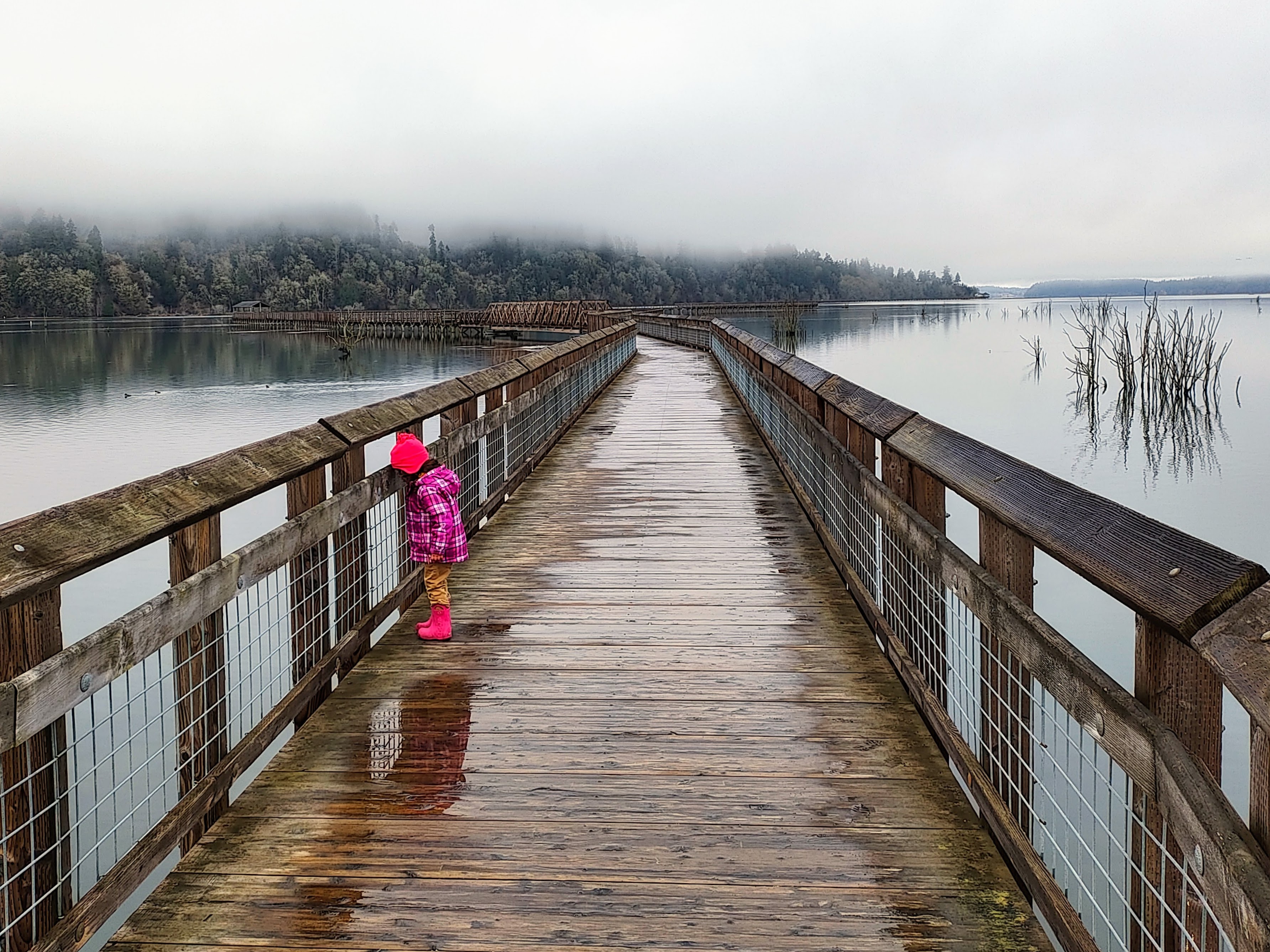 Small child in pink rain coat stands on boardwalk on rainy day looking out onto water.