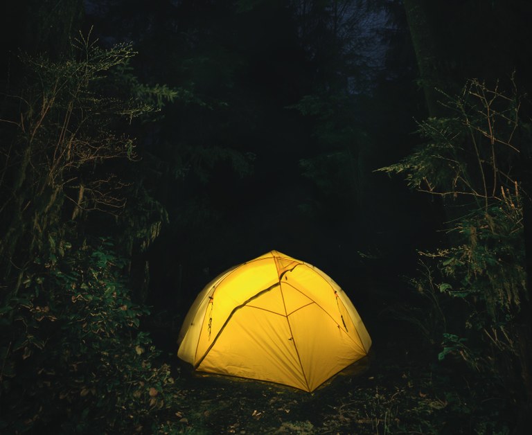 A bright tent is nestled among dark, heavy vegetation.