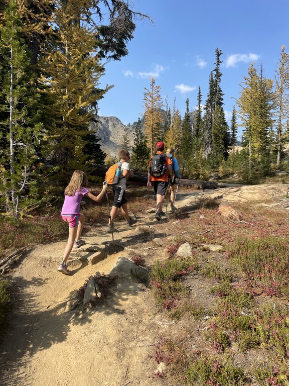 Four children hike down a sunny trail in single file.