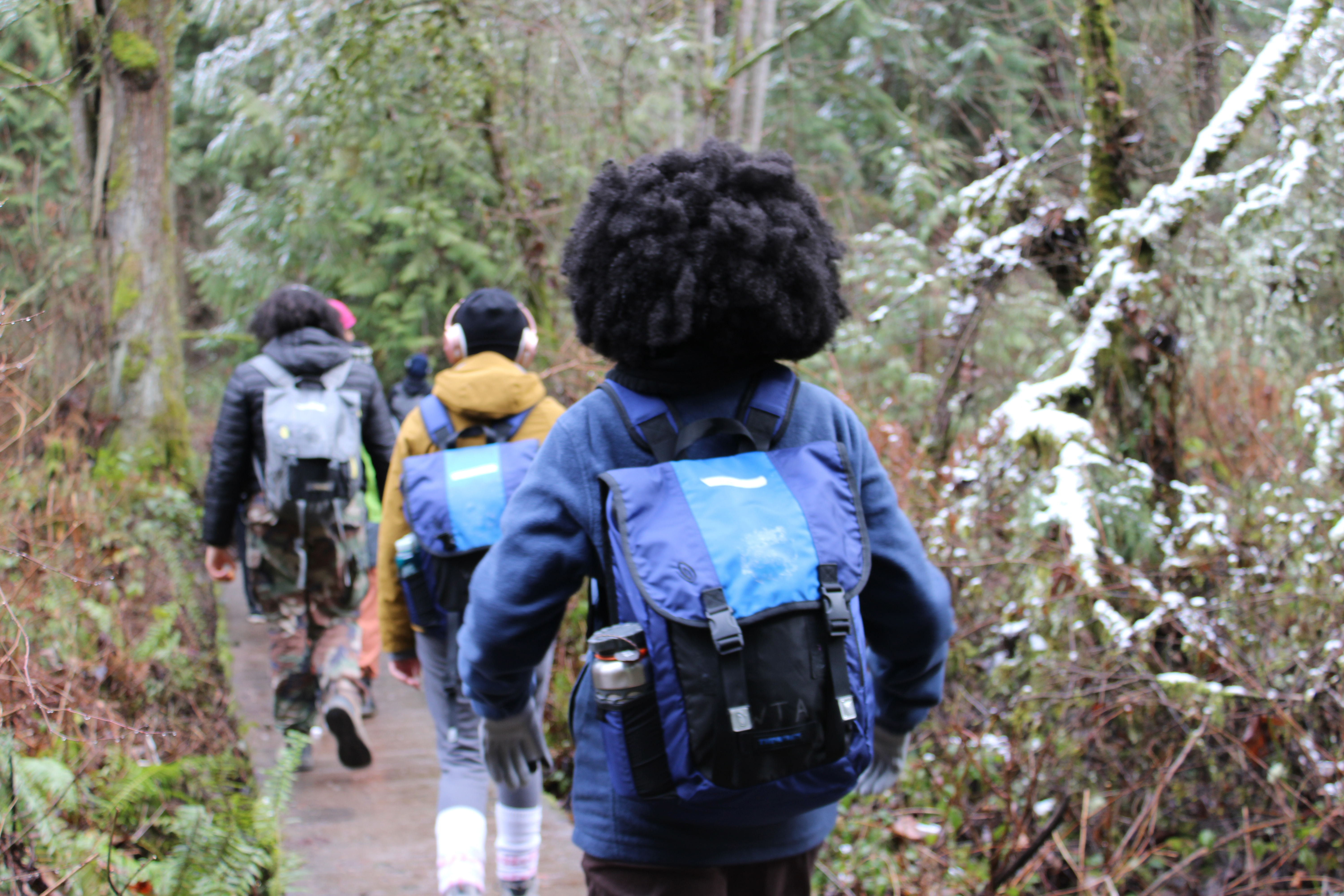 Photo of youth on trail. Courtesy of Community Collaborative Youth with there backs facing the camera hike in forest wearing blue backpacks.