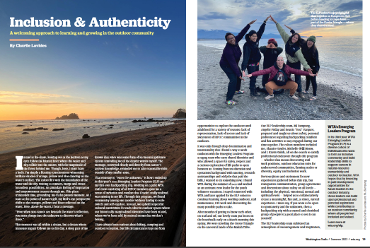 magazine article 