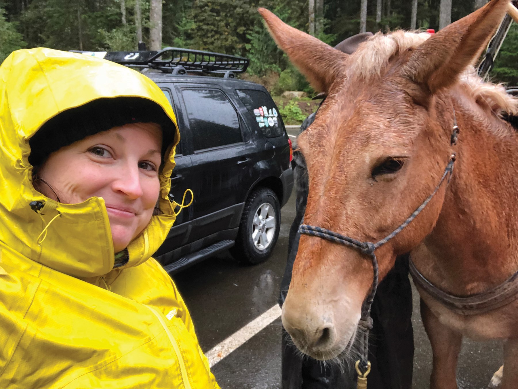 Selfie of Karen next to a pack animal on a trail work party. Photo by Karen Bean.