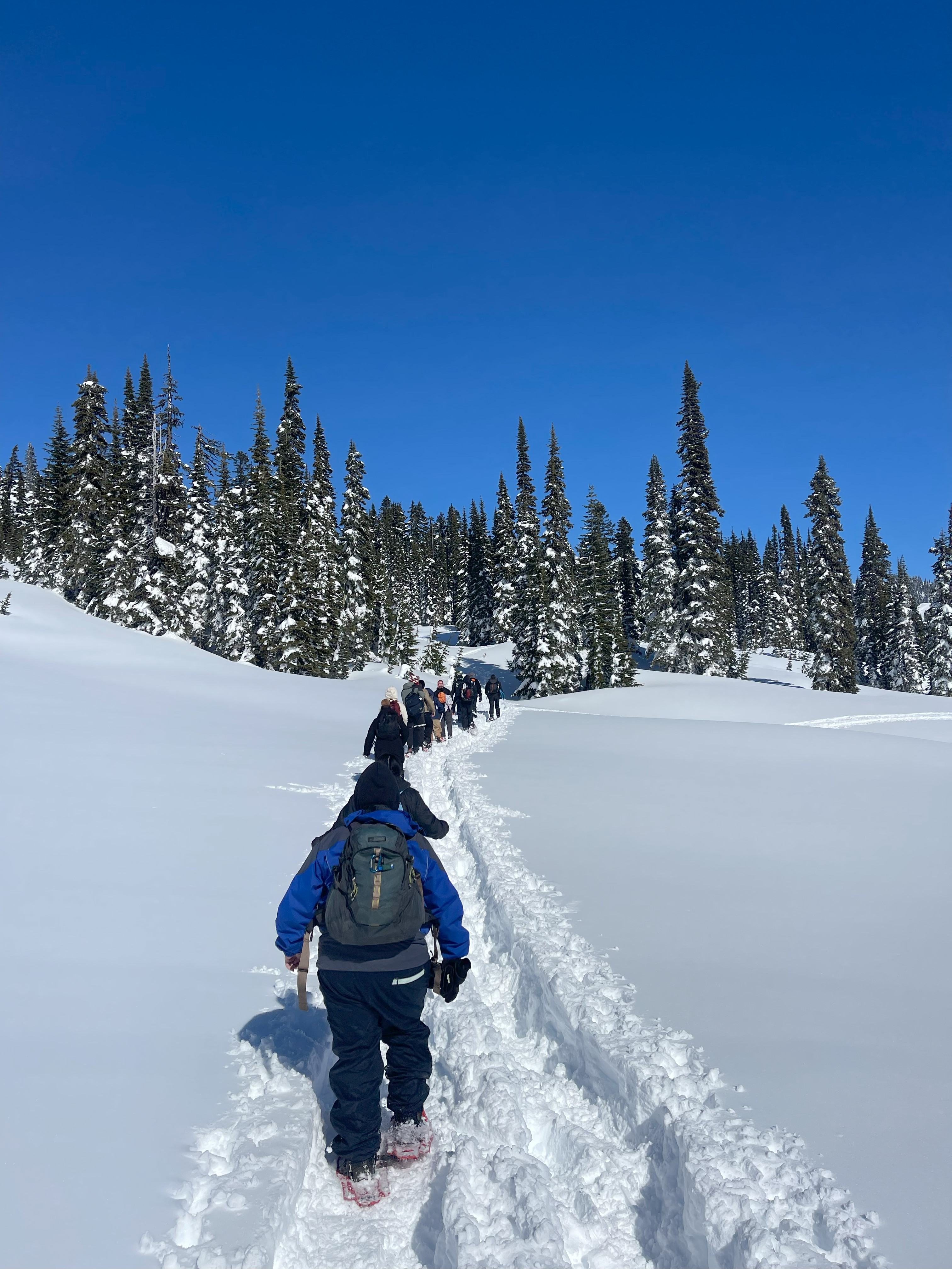 Lincoln High School students snowshoing. Photo by Natalie Reszka