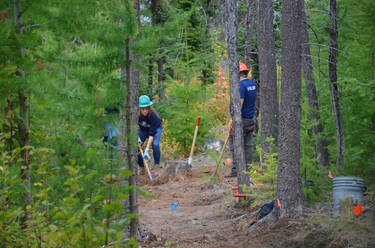 Volunteers work amid the trails.