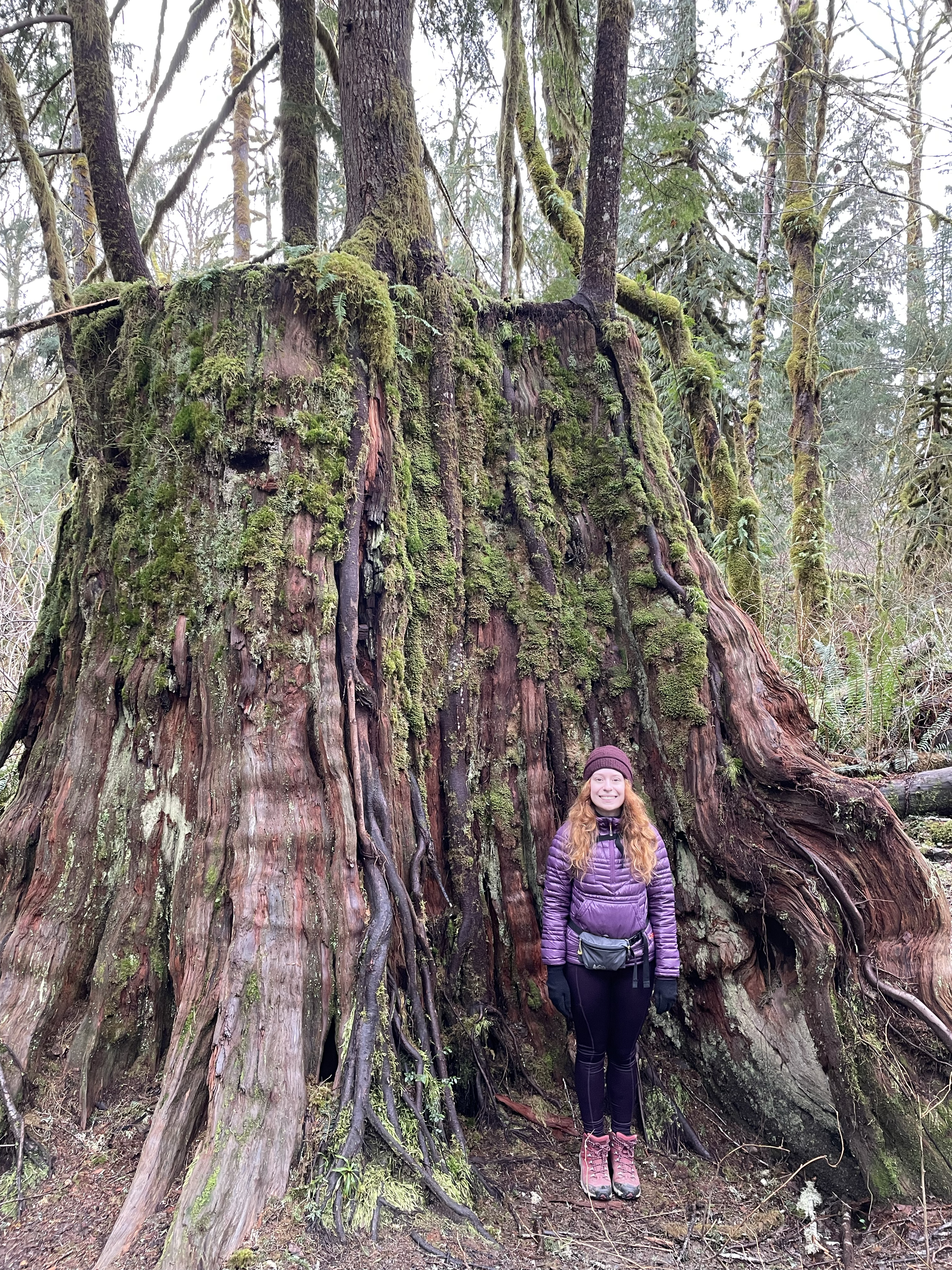 Women in purple jacket stands on trail in front of large tree.