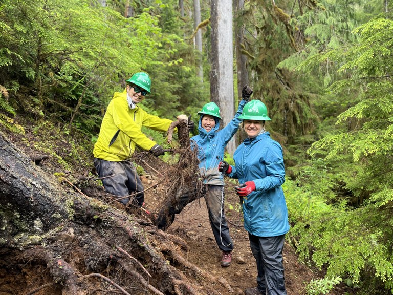 Three volunteers wearing rain jackets and green hard hats hold up a root they had finished excavating from the trail tread.