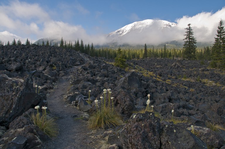 Mount St. Helens. Photo by Stephanie Garbuio.